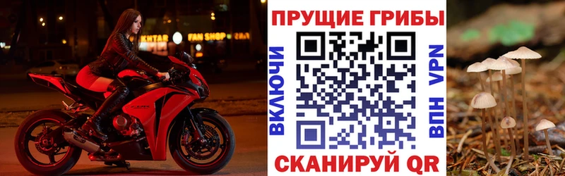 MEGA маркетплейс  Малмыж  дарк нет наркотические препараты  купить   Галлюциногенные грибы мухоморы 